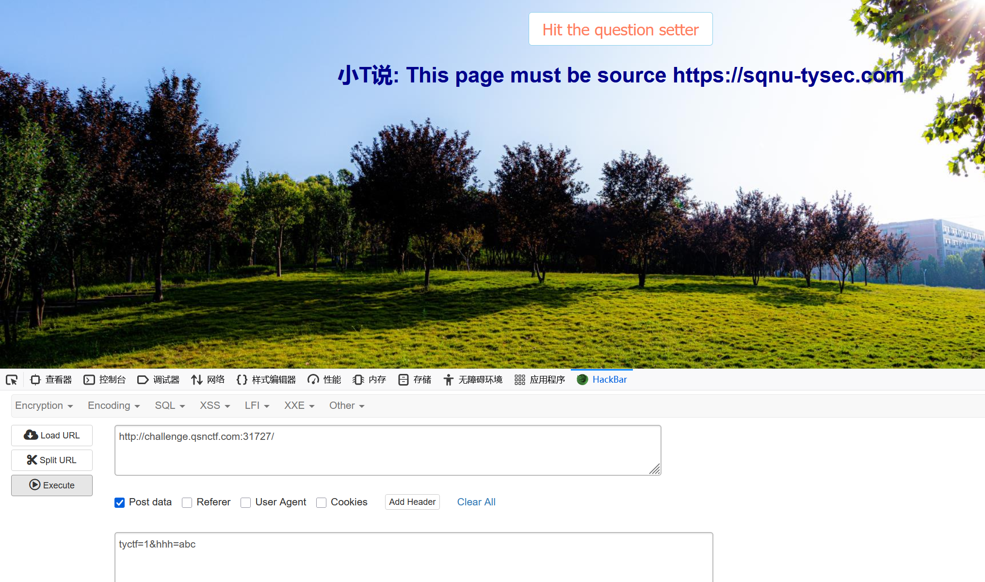 image-20250413100226195