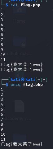 image-20250421153101866
